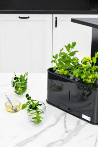 Productfoto plantenbak keuken automatisch groeien